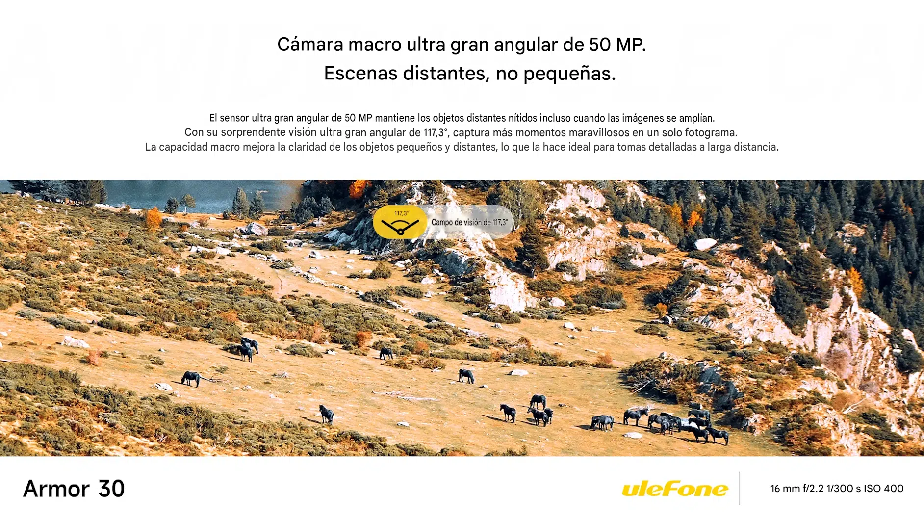 Camara