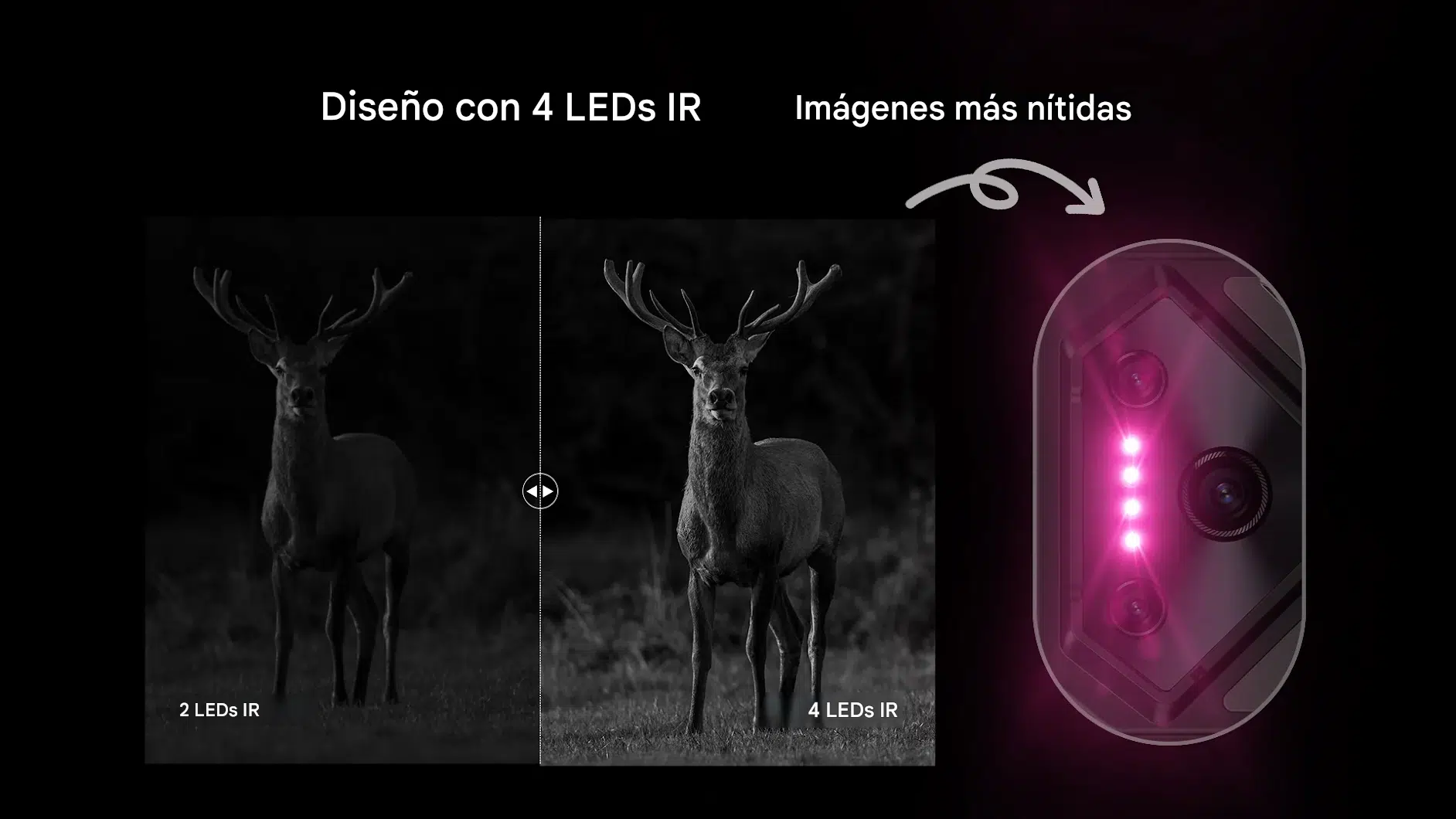 Proteccion