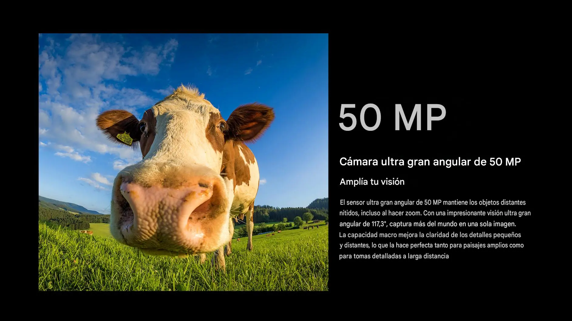 Camara 50MP